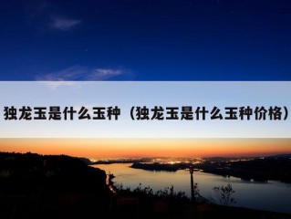 独龙玉是什么玉种（独龙玉是什么玉种价格）