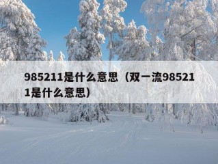 985211是什么意思（双一流985211是什么意思）