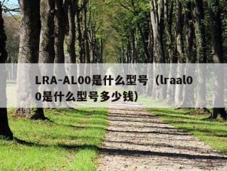 LRA-AL00是什么型号（lraal00是什么型号多少钱）