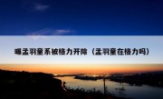 曝孟羽童系被格力开除（孟羽童在格力吗）