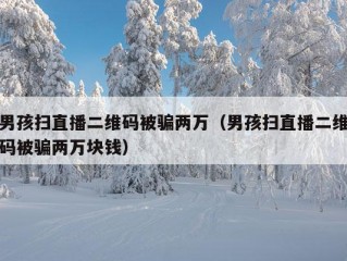 男孩扫直播二维码被骗两万（男孩扫直播二维码被骗两万块钱）