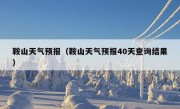 鞍山天气预报（鞍山天气预报40天查询结果）