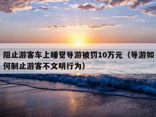 阻止游客车上睡觉导游被罚10万元（导游如何制止游客不文明行为）