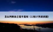 怎么判断自己是不是阳（二阳17天症状图）