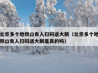 北京多个地铁口有人扫码送大鹅（北京多个地铁口有人扫码送大鹅是真的吗）