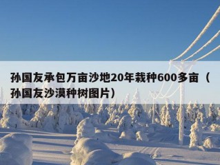 孙国友承包万亩沙地20年栽种600多亩（孙国友沙漠种树图片）