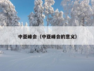 中亚峰会（中亚峰会的意义）