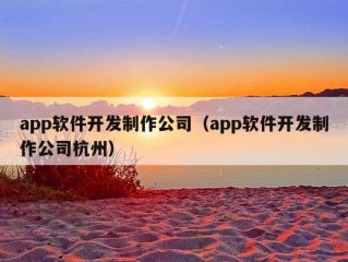 app软件开发制作公司（app软件开发制作公司杭州）