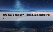 爬完泰山全都老实了（爬完泰山全都老实了吗）