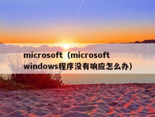 microsoft（microsoft windows程序没有响应怎么办）