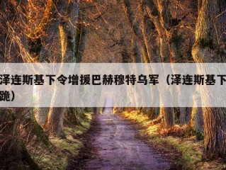 泽连斯基下令增援巴赫穆特乌军（泽连斯基下跪）