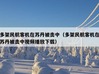 多架民航客机在苏丹被击中（多架民航客机在苏丹被击中视频播放下载）