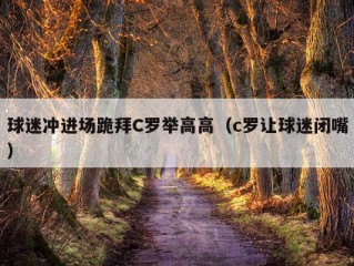 球迷冲进场跪拜C罗举高高（c罗让球迷闭嘴）