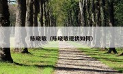 陈晓敏（陈晓敏现状如何）