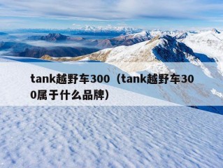 tank越野车300（tank越野车300属于什么品牌）