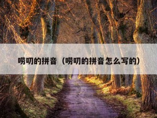 唠叨的拼音（唠叨的拼音怎么写的）