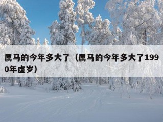 属马的今年多大了（属马的今年多大了1990年虚岁）