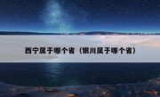 西宁属于哪个省（银川属于哪个省）