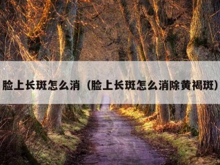 脸上长斑怎么消（脸上长斑怎么消除黄褐斑）