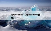 opporeno9（opporeno9图片）