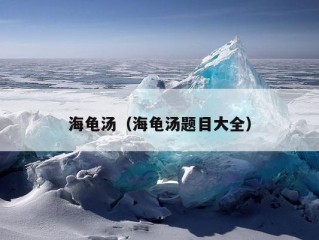 海龟汤（海龟汤题目大全）