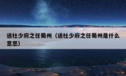 送杜少府之任蜀州（送杜少府之任蜀州是什么意思）