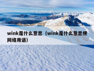 wink是什么意思（wink是什么意思梗网络用语）