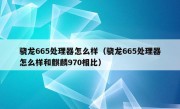 骁龙665处理器怎么样（骁龙665处理器怎么样和麒麟970相比）