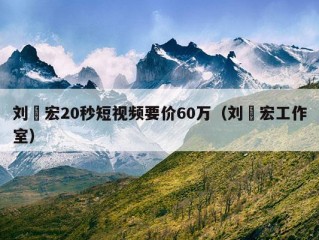 刘畊宏20秒短视频要价60万（刘畊宏工作室）