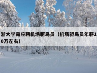 浙大学霸应聘机场驱鸟员（机场驱鸟员年薪10万左右）