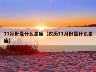 11月份是什么星座（农历11月份是什么星座）