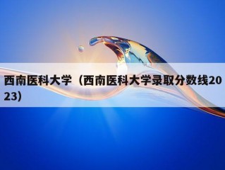 西南医科大学（西南医科大学录取分数线2023）