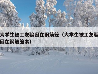 大学生被工友骗困在钢筋笼（大学生被工友骗困在钢筋笼素）