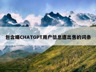 包含曝CHATGPT用户信息遭出售的词条