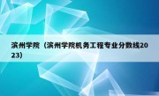 滨州学院（滨州学院机务工程专业分数线2023）