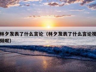 林夕发表了什么言论（林夕发表了什么言论视频呢）