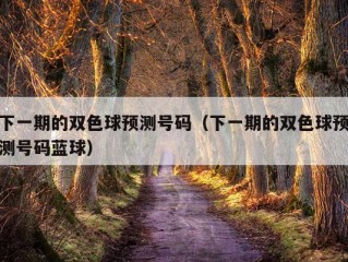 下一期的双色球预测号码（下一期的双色球预测号码蓝球）