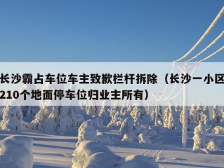 长沙霸占车位车主致歉栏杆拆除（长沙一小区210个地面停车位归业主所有）