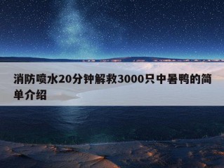 消防喷水20分钟解救3000只中暑鸭的简单介绍