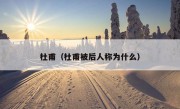 杜甫（杜甫被后人称为什么）