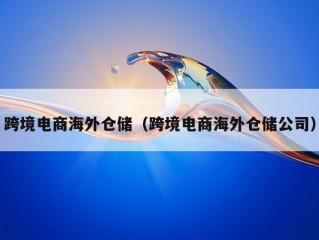 跨境电商海外仓储（跨境电商海外仓储公司）