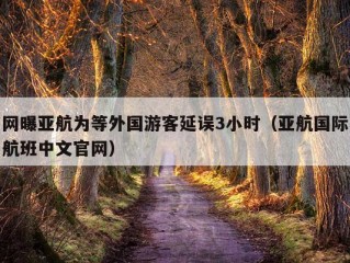 网曝亚航为等外国游客延误3小时（亚航国际航班中文官网）