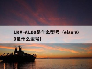 LRA-AL00是什么型号（elsan00是什么型号）