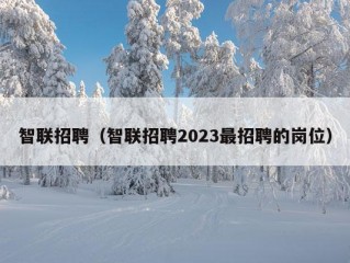 智联招聘（智联招聘2023最招聘的岗位）