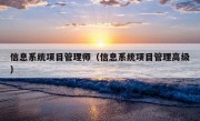 信息系统项目管理师（信息系统项目管理高级）