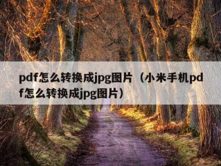 pdf怎么转换成jpg图片（小米手机pdf怎么转换成jpg图片）