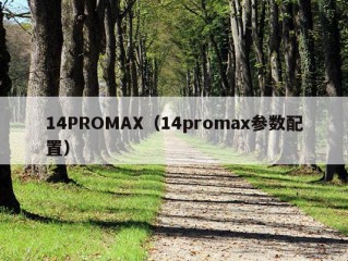 14PROMAX（14promax参数配置）