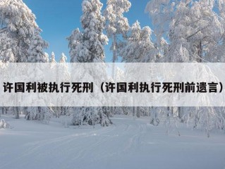 许国利被执行死刑（许国利执行死刑前遗言）