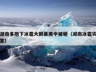 湖南多地下冰雹大鹅暴雨中被砸（湖南冰雹灾害）