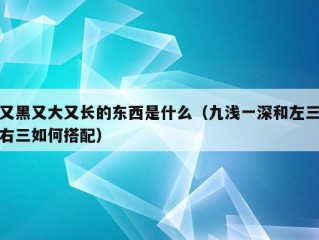 又黑又大又长的东西是什么（九浅一深和左三右三如何搭配）